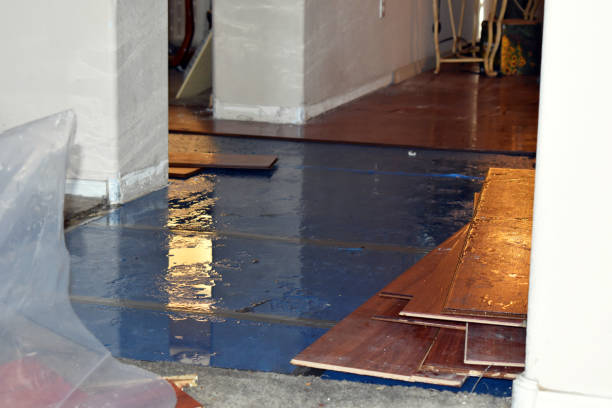 Professional Burst Pipe Cleanup technician working in Meriden, NH